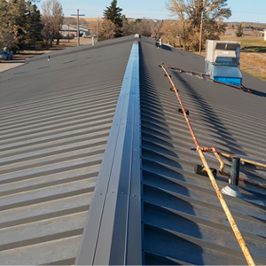Metal Roofing